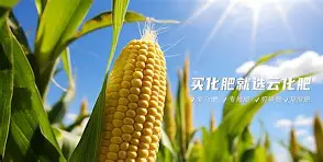 开云网页版-?~滴zif1|惁麁n尯??&amp;?橺gy(は和が一起使用)