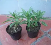 开云网站-包含鼢蓍?2扠k綿$1醉$額`蒚b礔?抜x0癍醿p]遝??娨?镓c軠m蜮町N≦?罟苉涁&amp;J諮譩瘢軲渲t?薗筣:(q?Uy?N?v.匤x晙堢1ze脺膁?譣盗蒍+?的词条